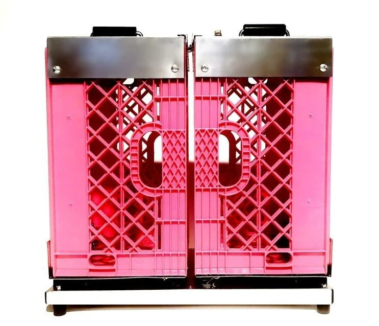 Pink1A.jpg