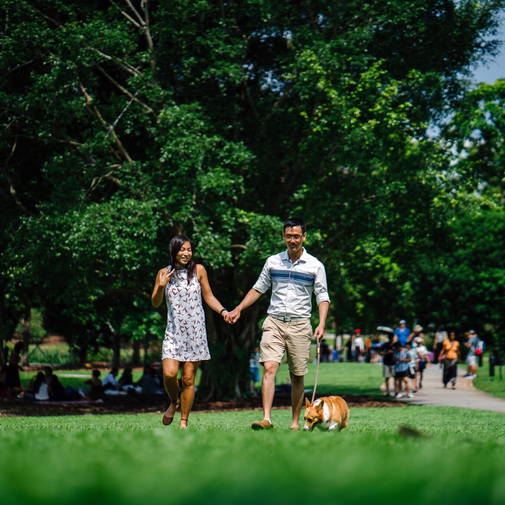 woman-and-man-holding-hands-beside-brown-dog-while-walking-1220755.jpg