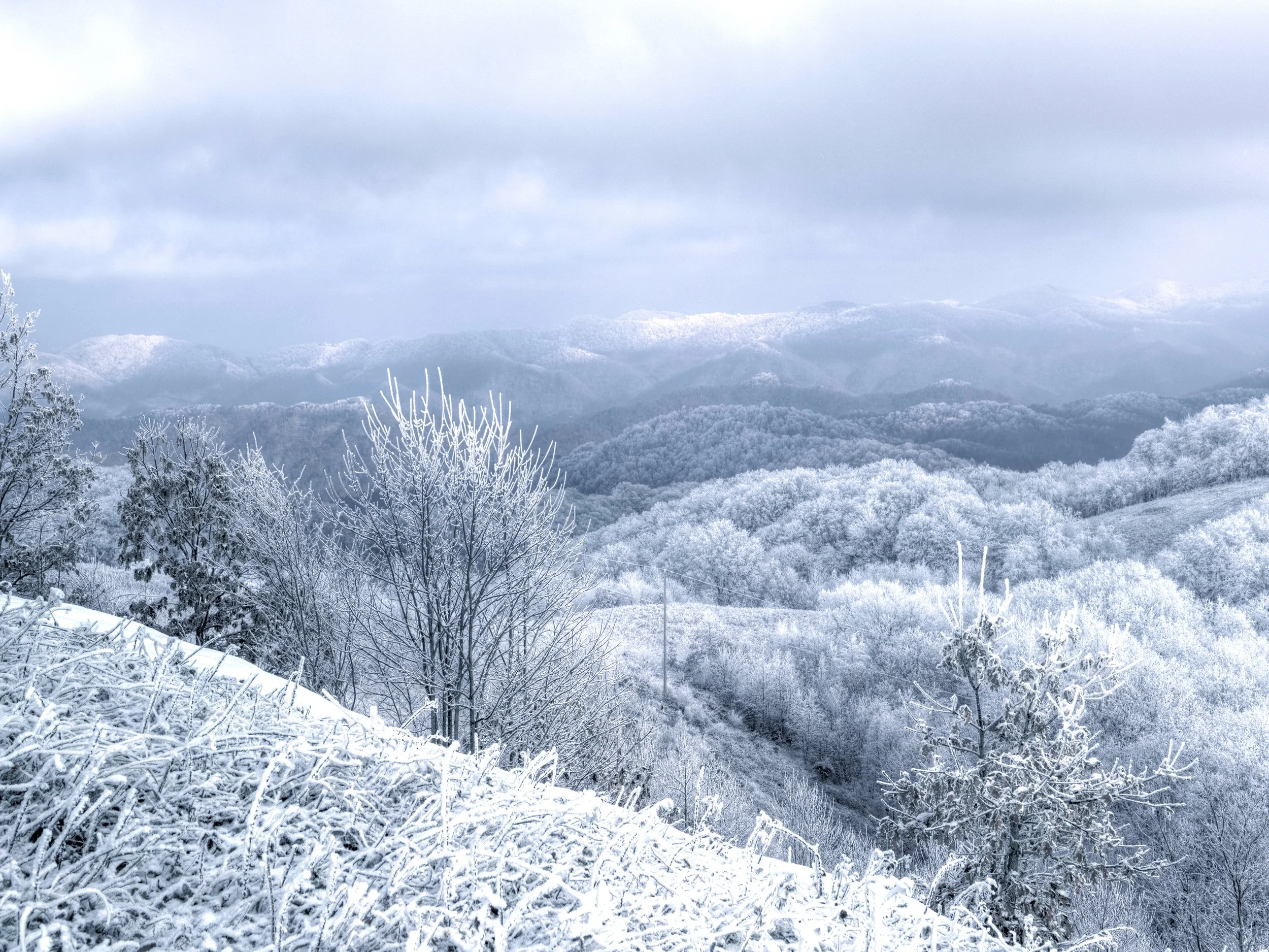 Max Patch.  A beautiful area to hike and visit year-round.  Just about an hour drive from Shady Creek.