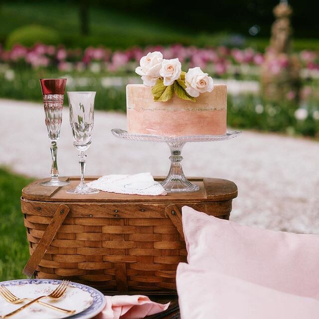 One of our Cakelings for petite events at a picnic! Thank you @rickyrodriguezphoto for capturing such a beautiful photo. Link in bio to see more of our Cakelings collection. .
.
.
.
.
.
Styling by @tarawestgateevents #themountlenox #smallcakes #small