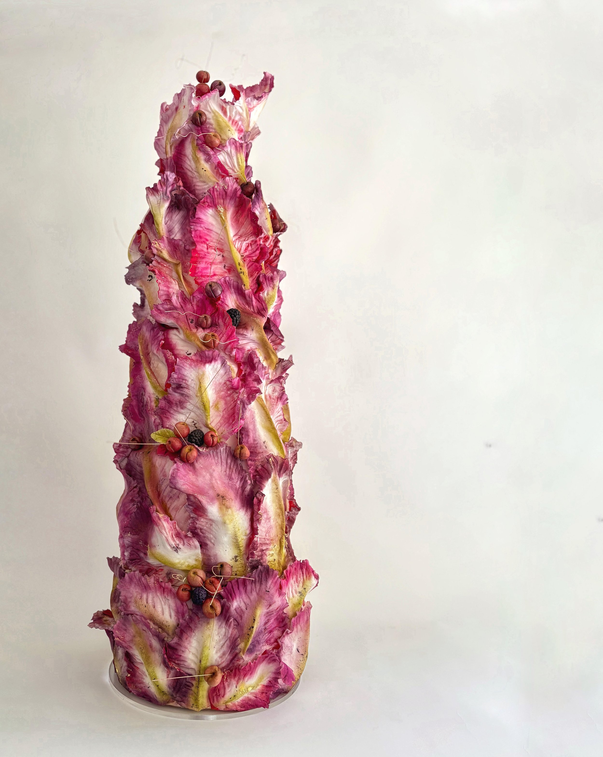 radicchio cake.jpg