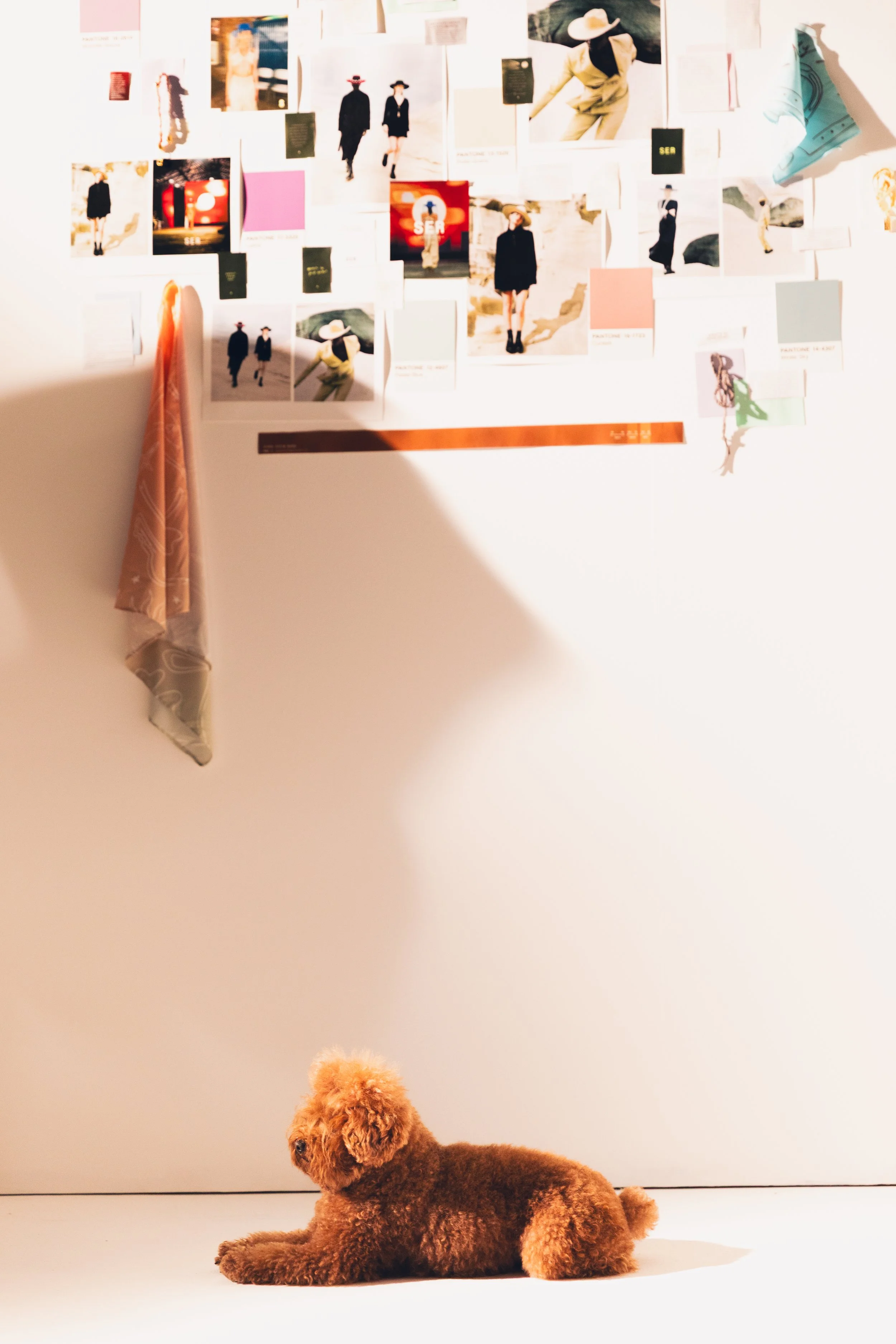 actual-nature-don-julio-junio-24 (64 of 325).jpg