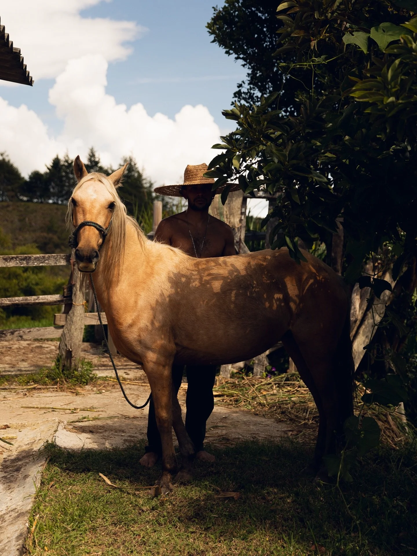 que comience el a&ntilde;o del caballo 🐎✨❤️&zwj;🔥
en mis ojos siempre @srpablomusic 
#yearofthehorse