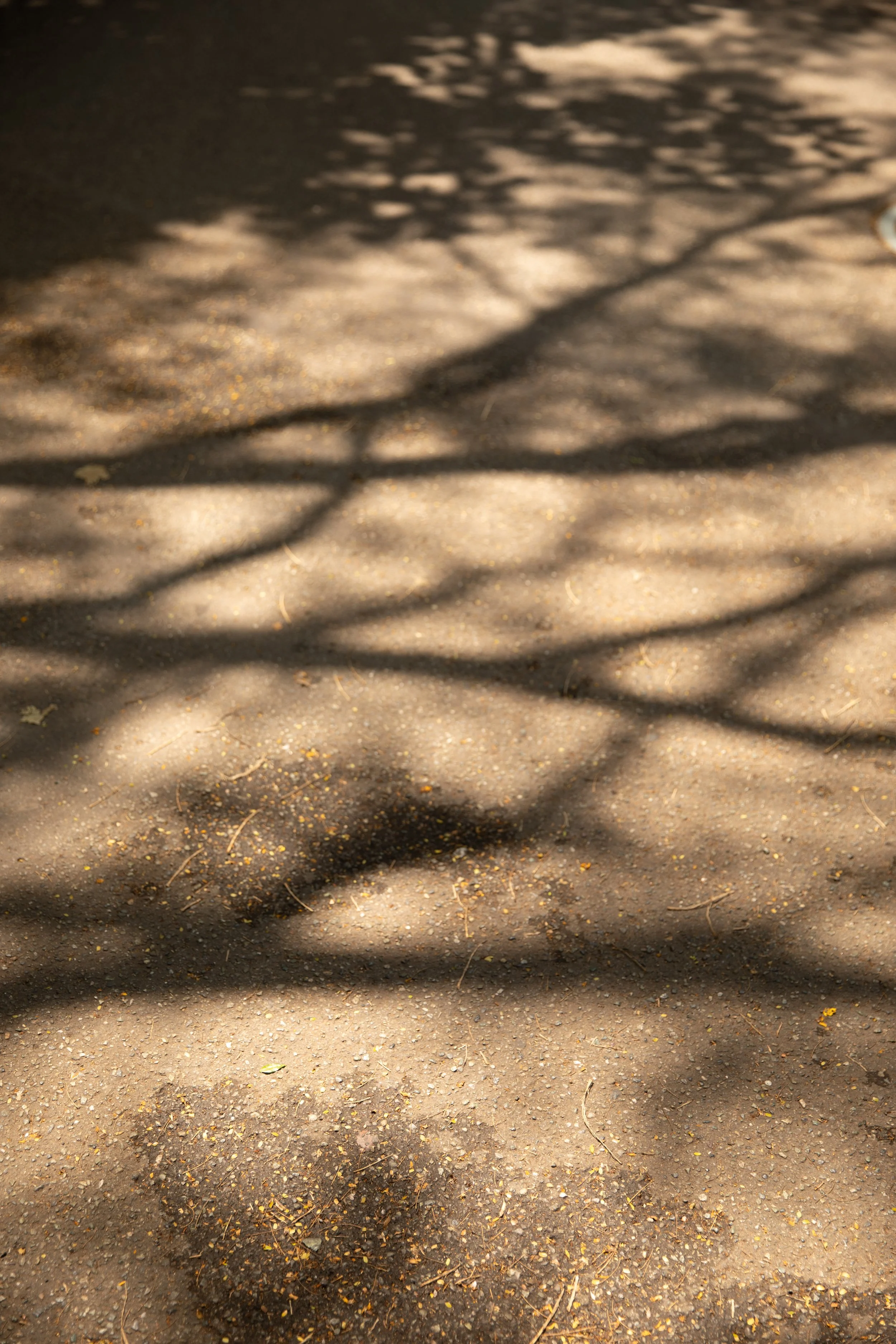 actualnature-afterofiice-OCT9-314.jpg