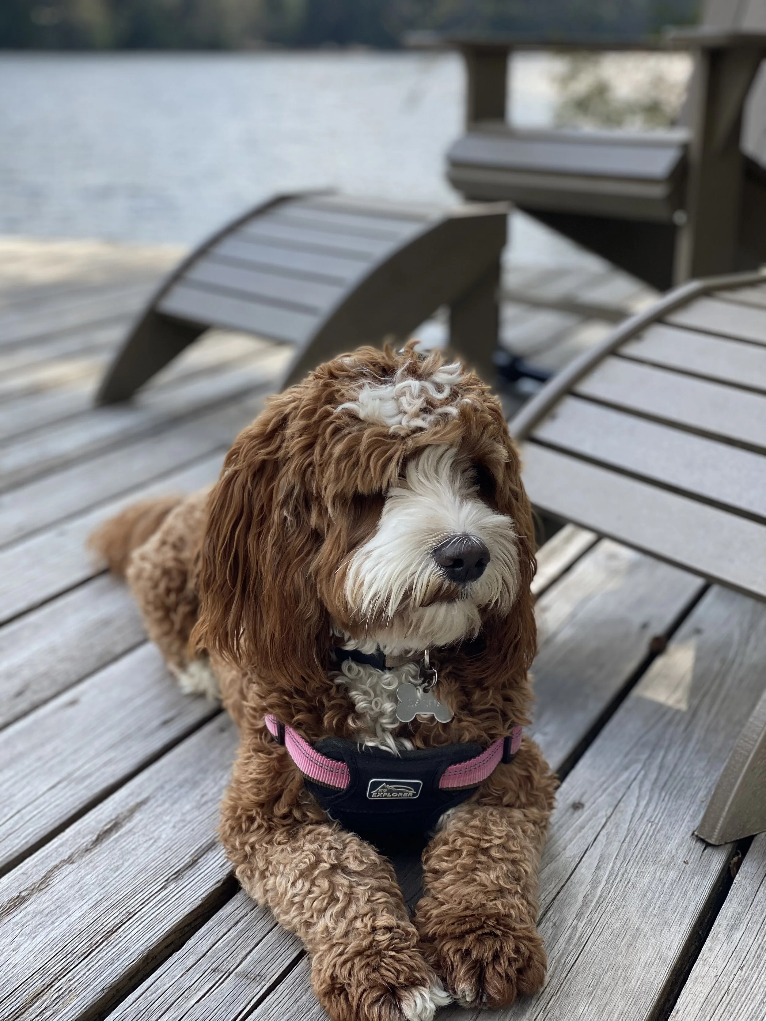 Monolithic Modernity