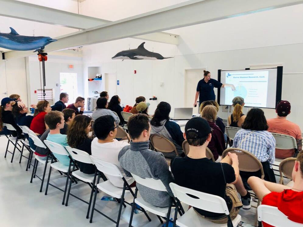 Educating Students at TMMSN