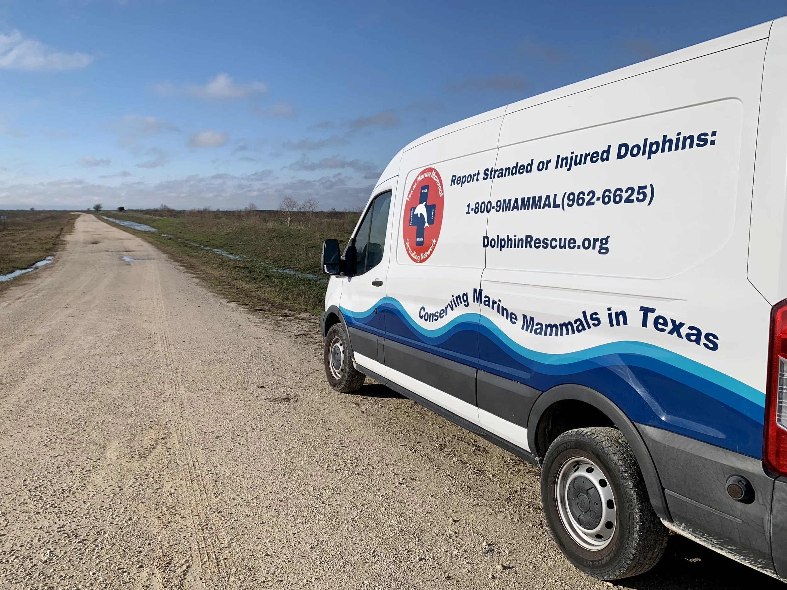 Our Lifeline on Wheels: Why We Need a New Dolphin Rescue Van