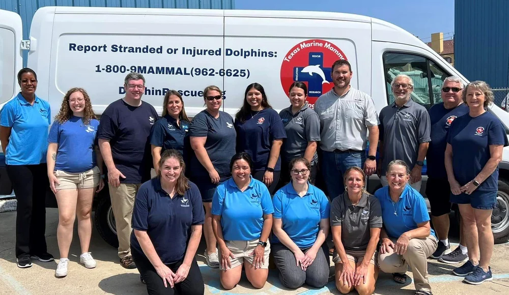 Join the team — Texas Marine Mammal Stranding Network