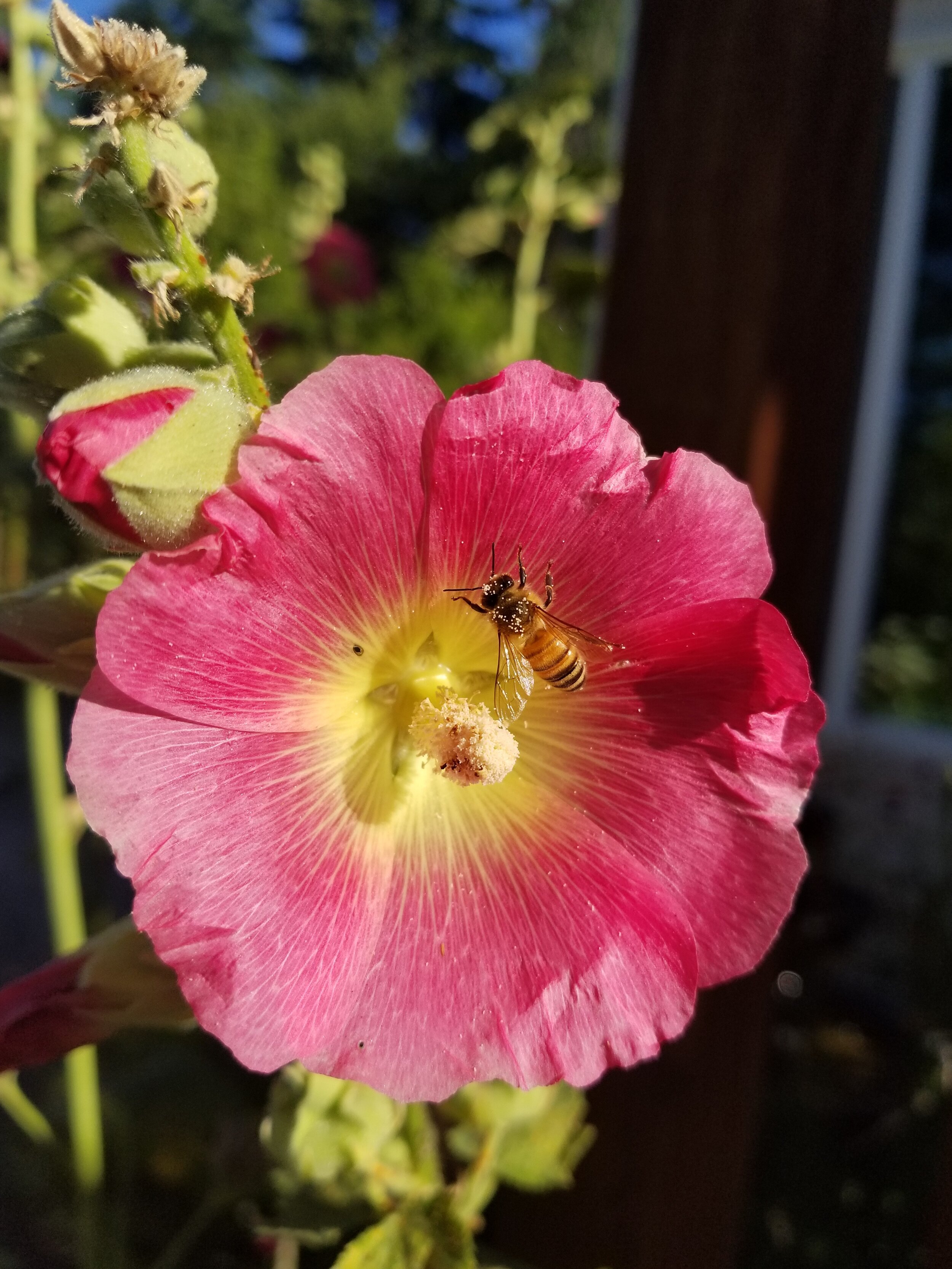 About us — SHORELINE BEEKEEPING SUPPLY