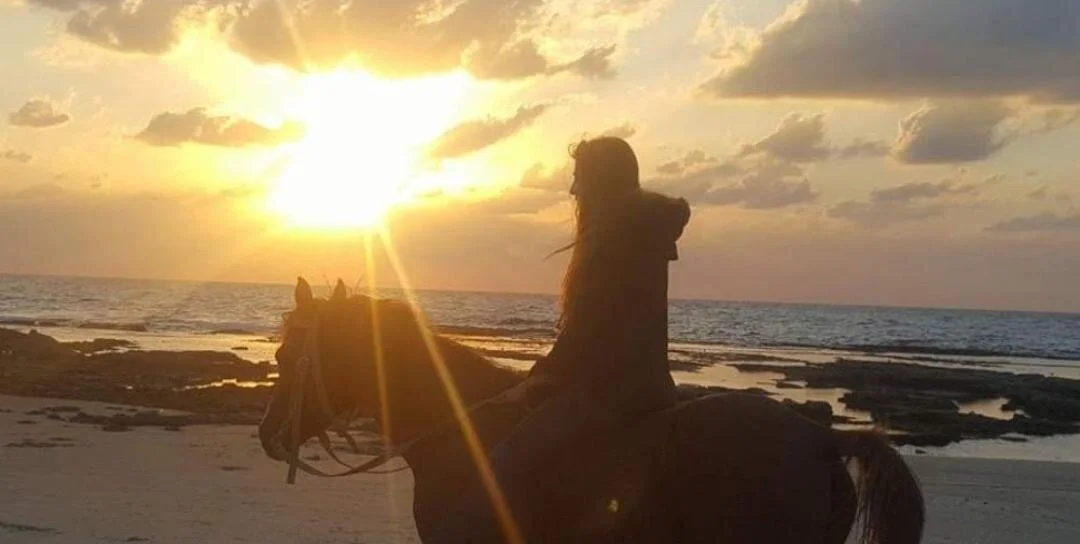 911b8ca7-f66d-404b-b881-5d1312793dee 2.JPG