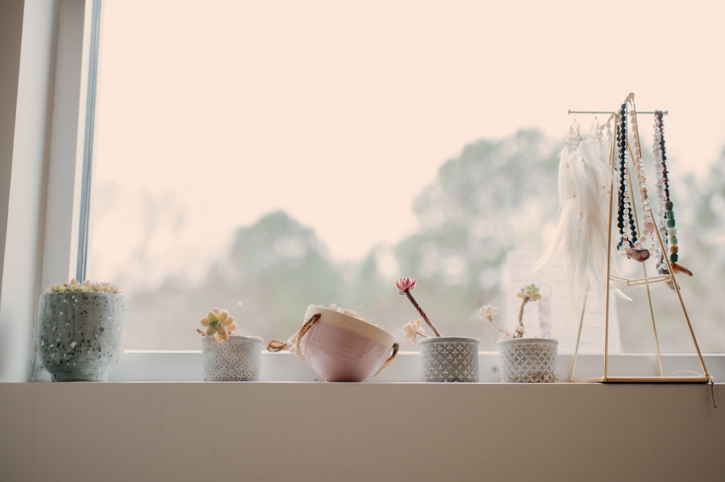 Raleigh Brand Photography - TCRC 2026-1.jpg