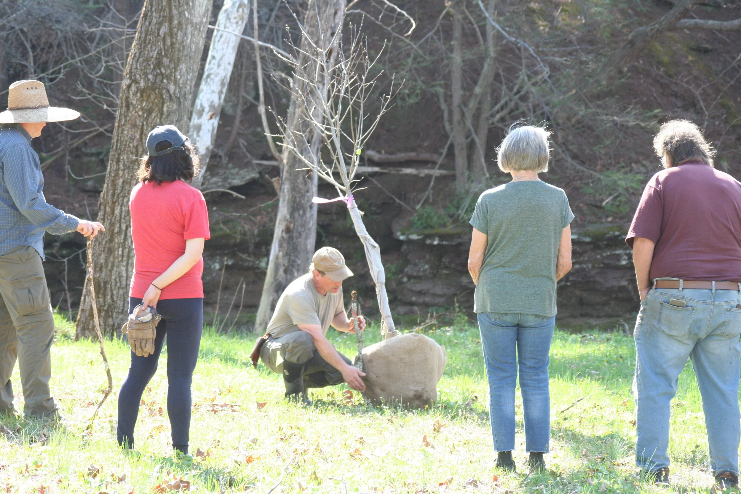 Earth Month Planting Blitz at our Streamside Restoration
