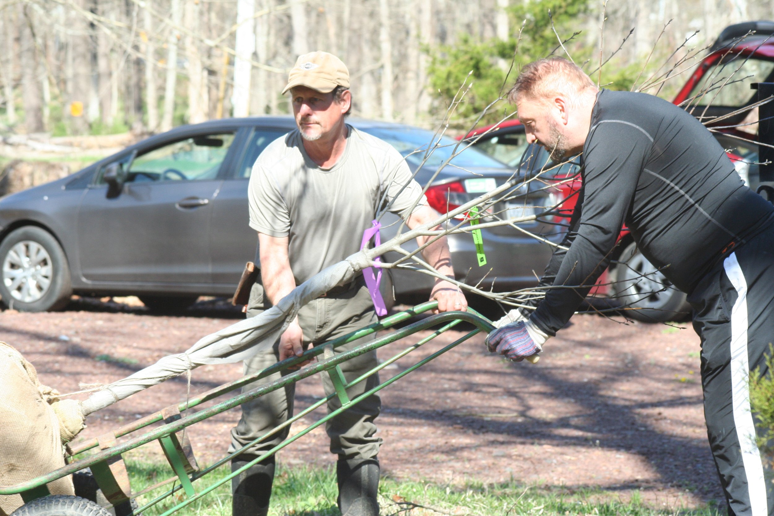 Earth Week Planting Blitz at our Streamside Restoration (Copy)