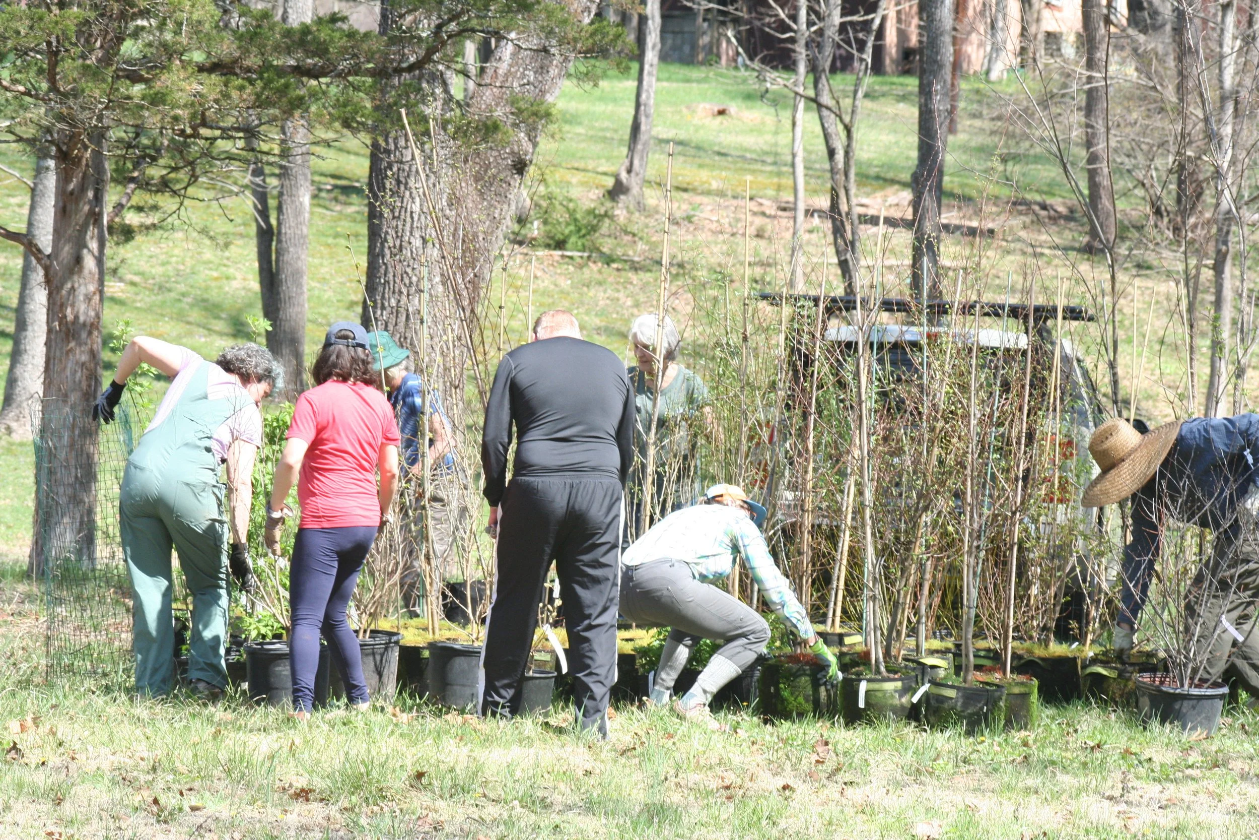 Earth Month Planting Blitz at our Streamside Restoration