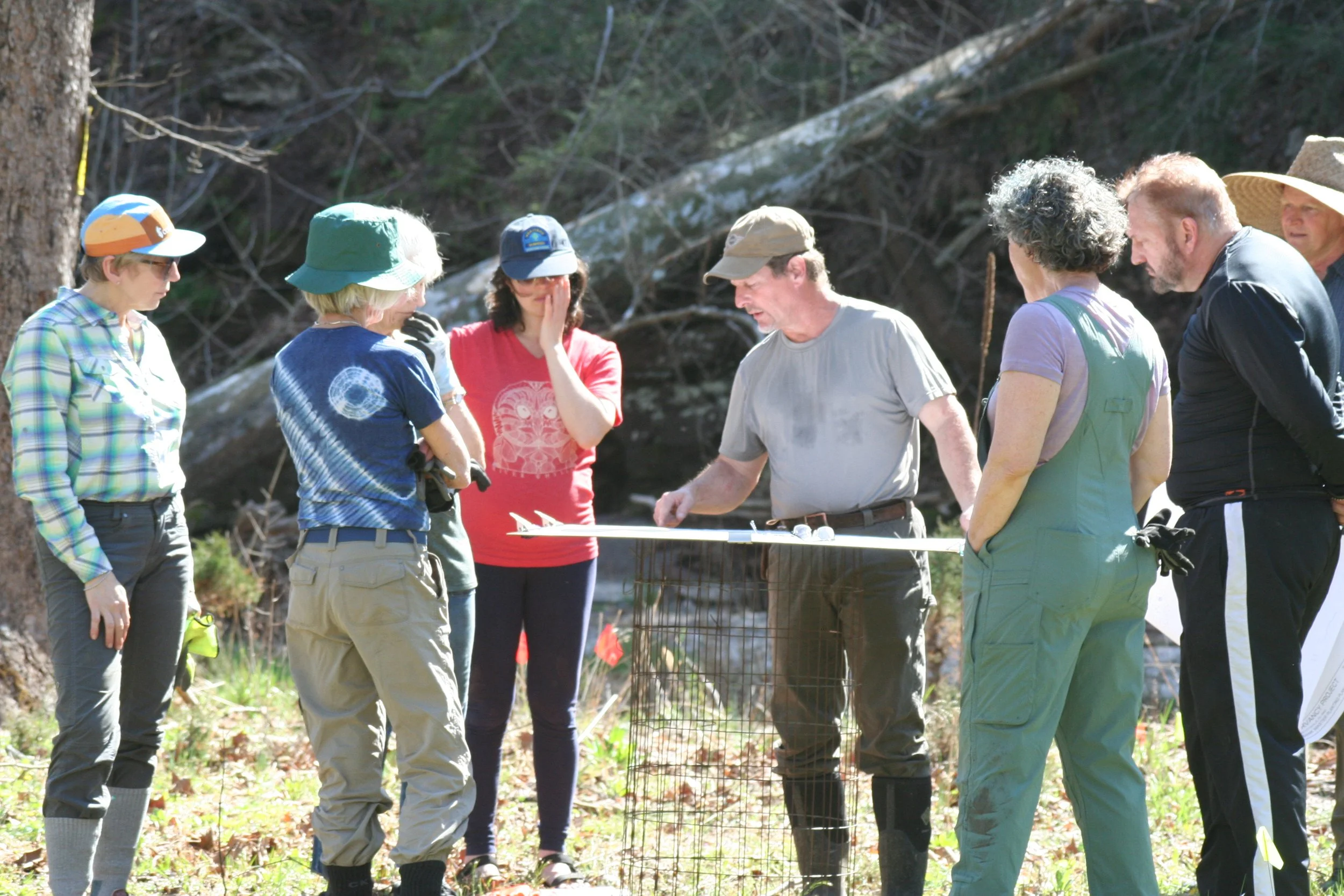 Earth Month Planting Blitz at our Streamside Restoration