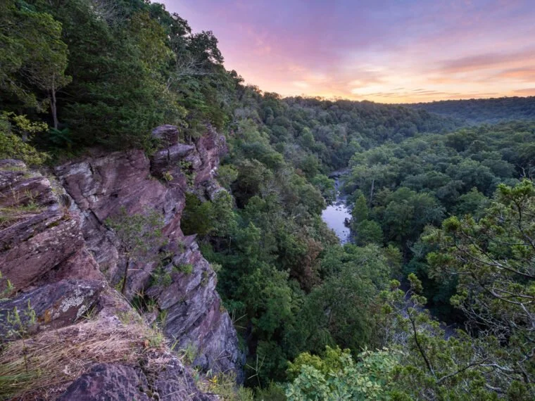 Habitat Restoration at High Rocks