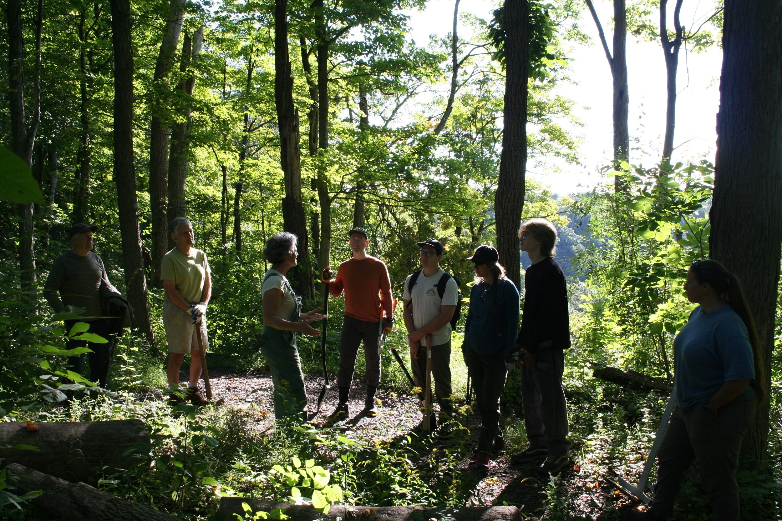 Habitat Restoration at High Rocks 