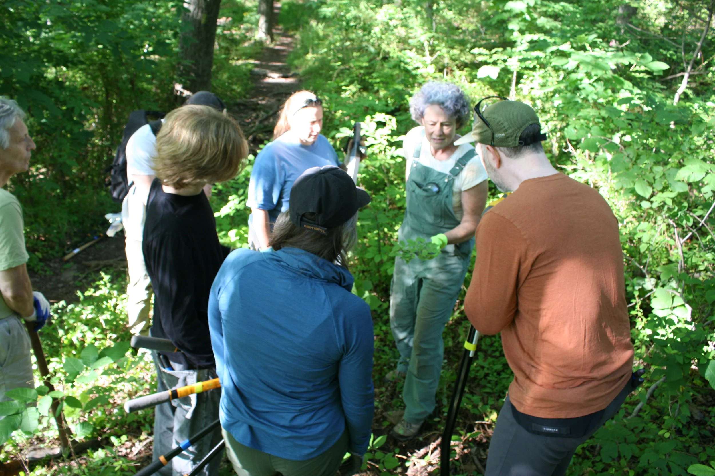 Habitat Restoration at High Rocks 