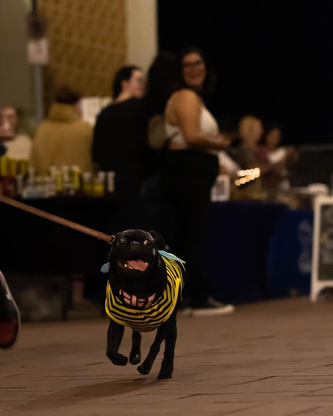SaveInsta.me_407682442_18406050826052740_654758009740394371_n.jpg