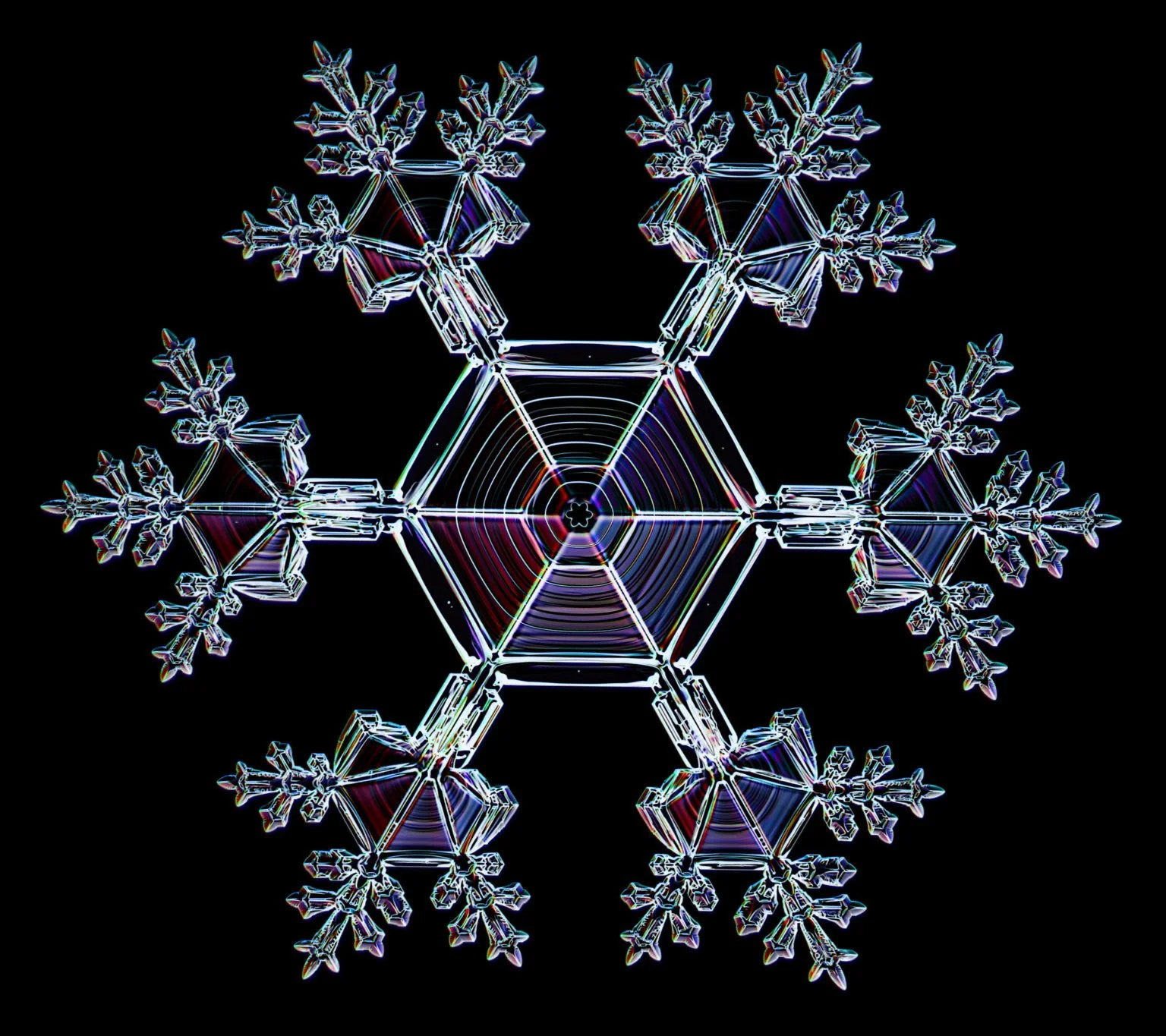 Kenneth Libbrecht Snow Crystal