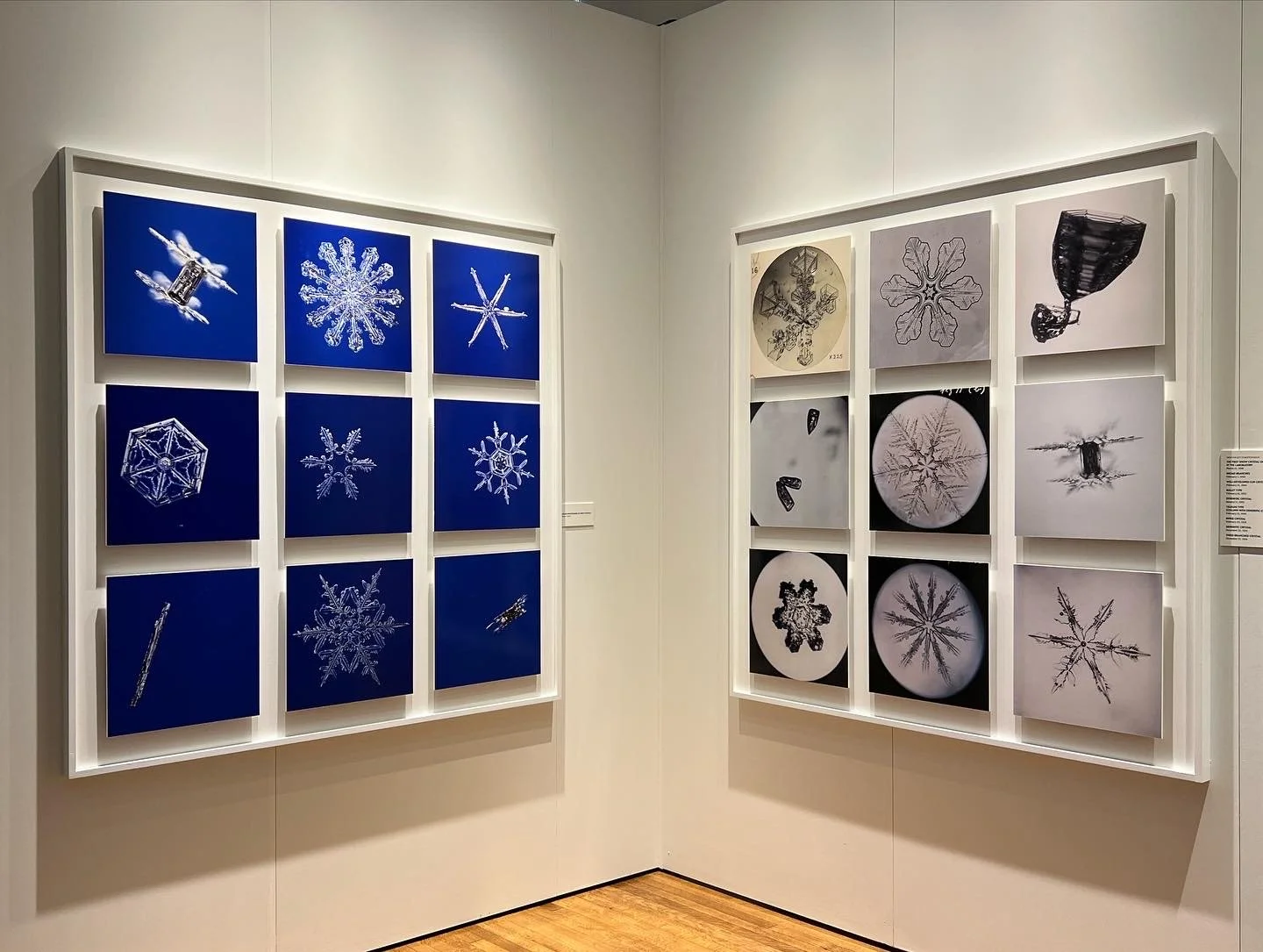 Ukichiro Nakaya Snow Crystals