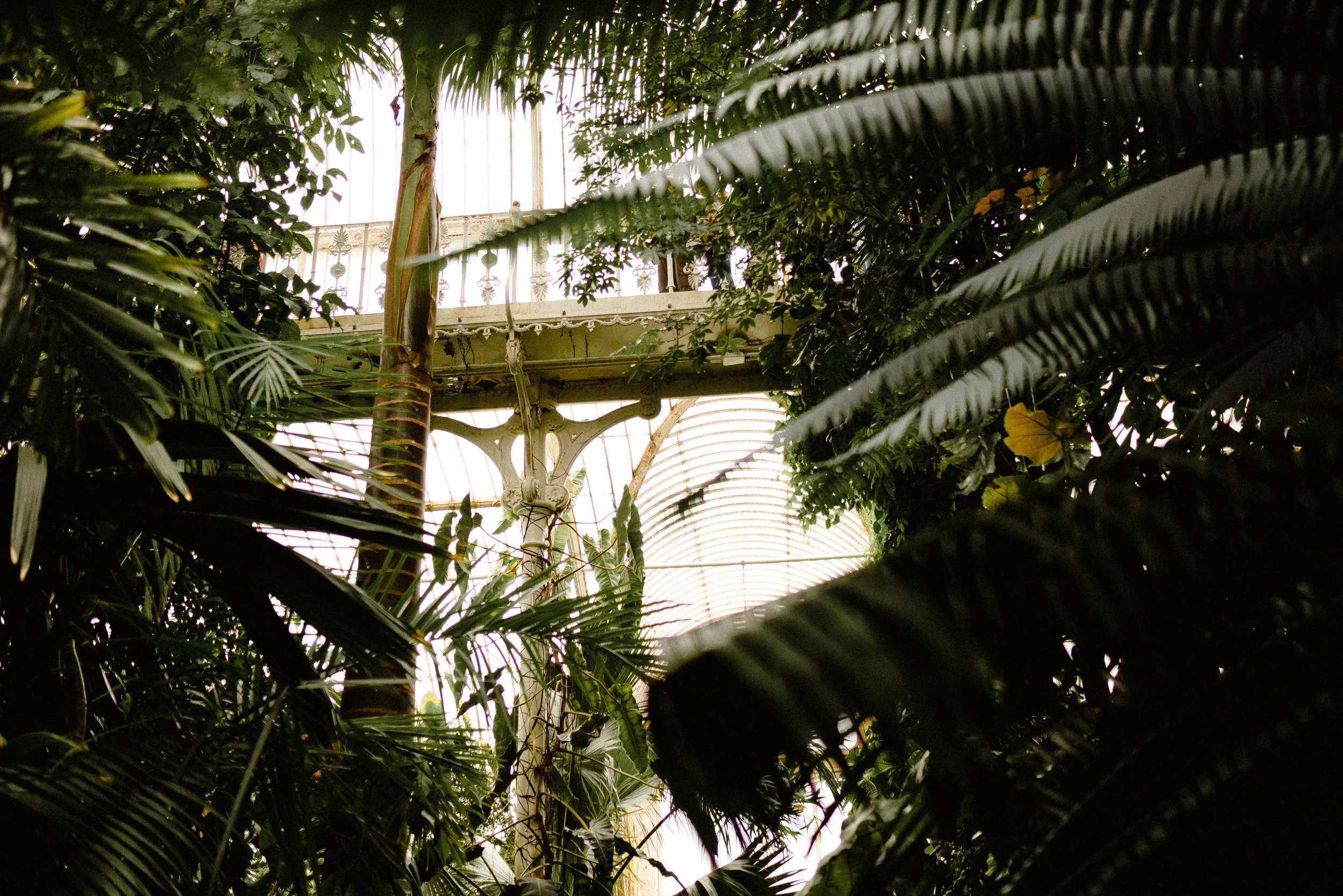 2020.03.01 | How Do You Know….Good and Evil