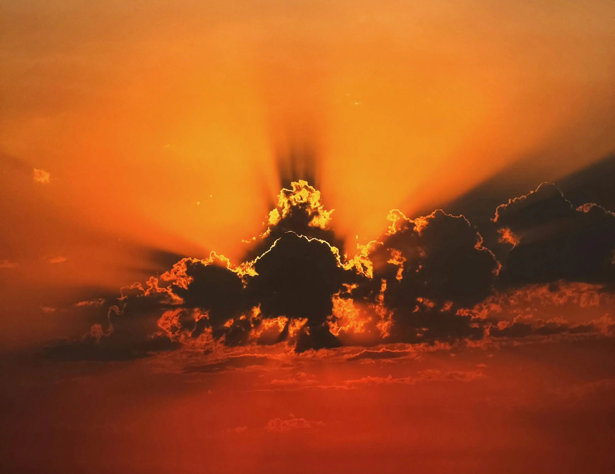 2024.11.24 | Dreaming God's Dream