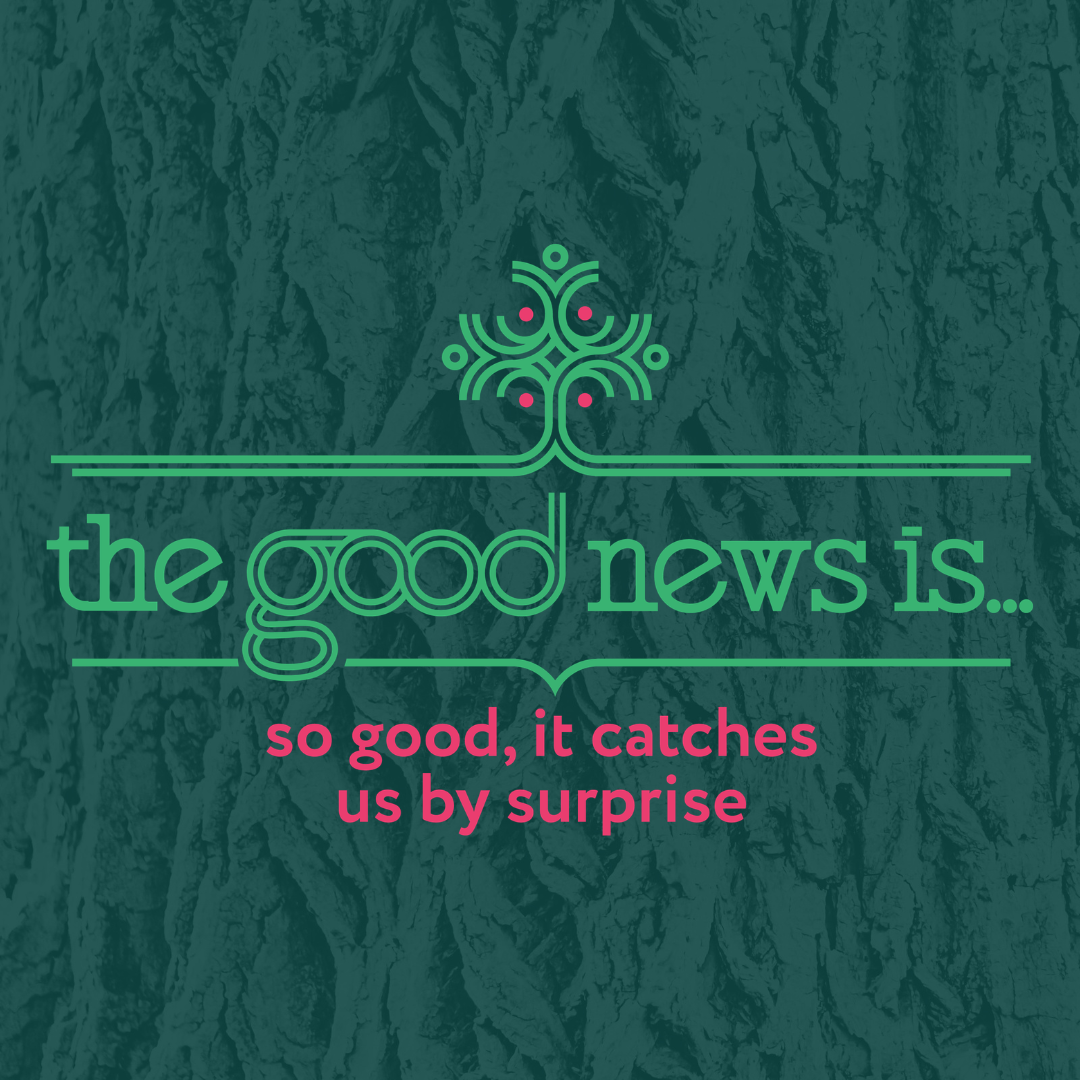 2026.02.22 | Unexpected News