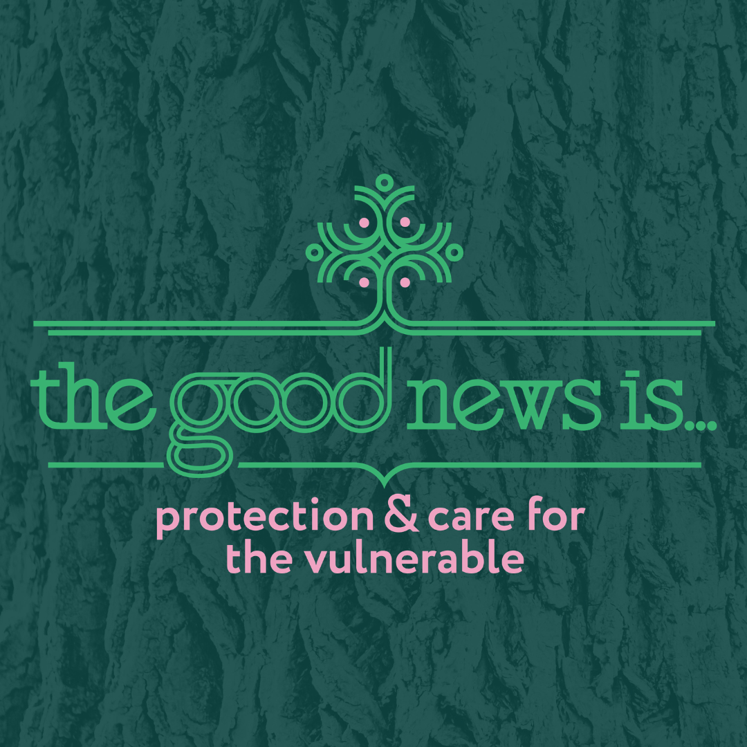 2026.03.15 | Protection and Care for the Vulnerable