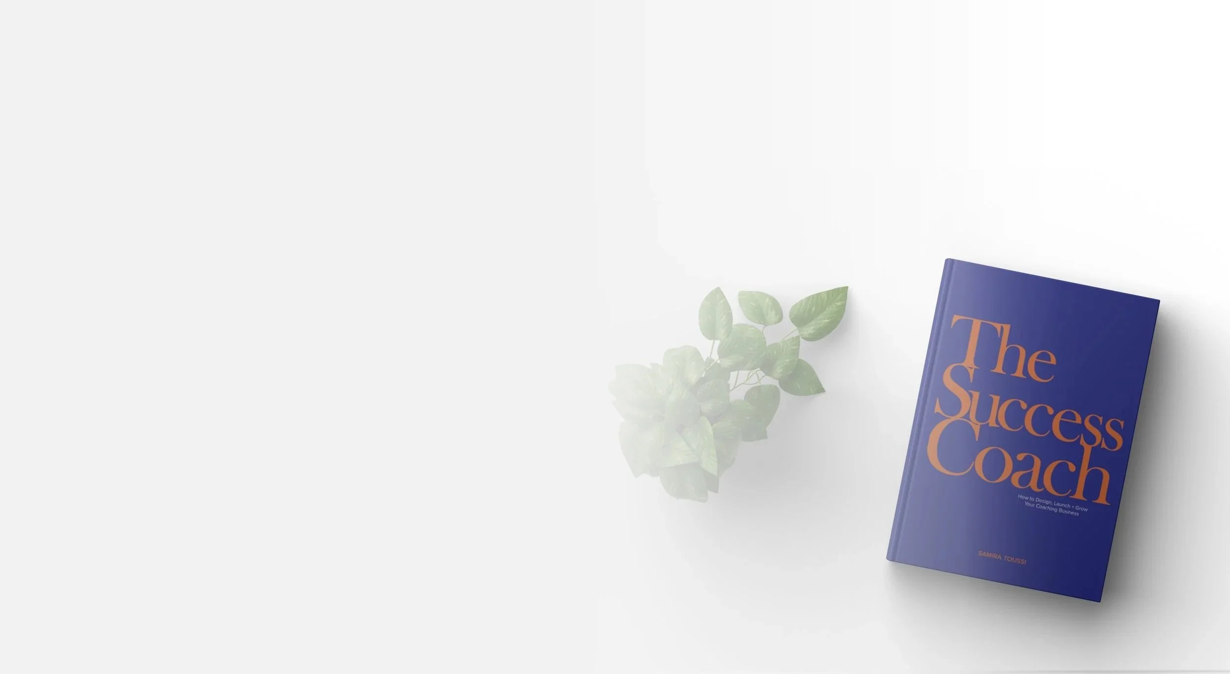 Minimalist-Book-Mockup.jpg