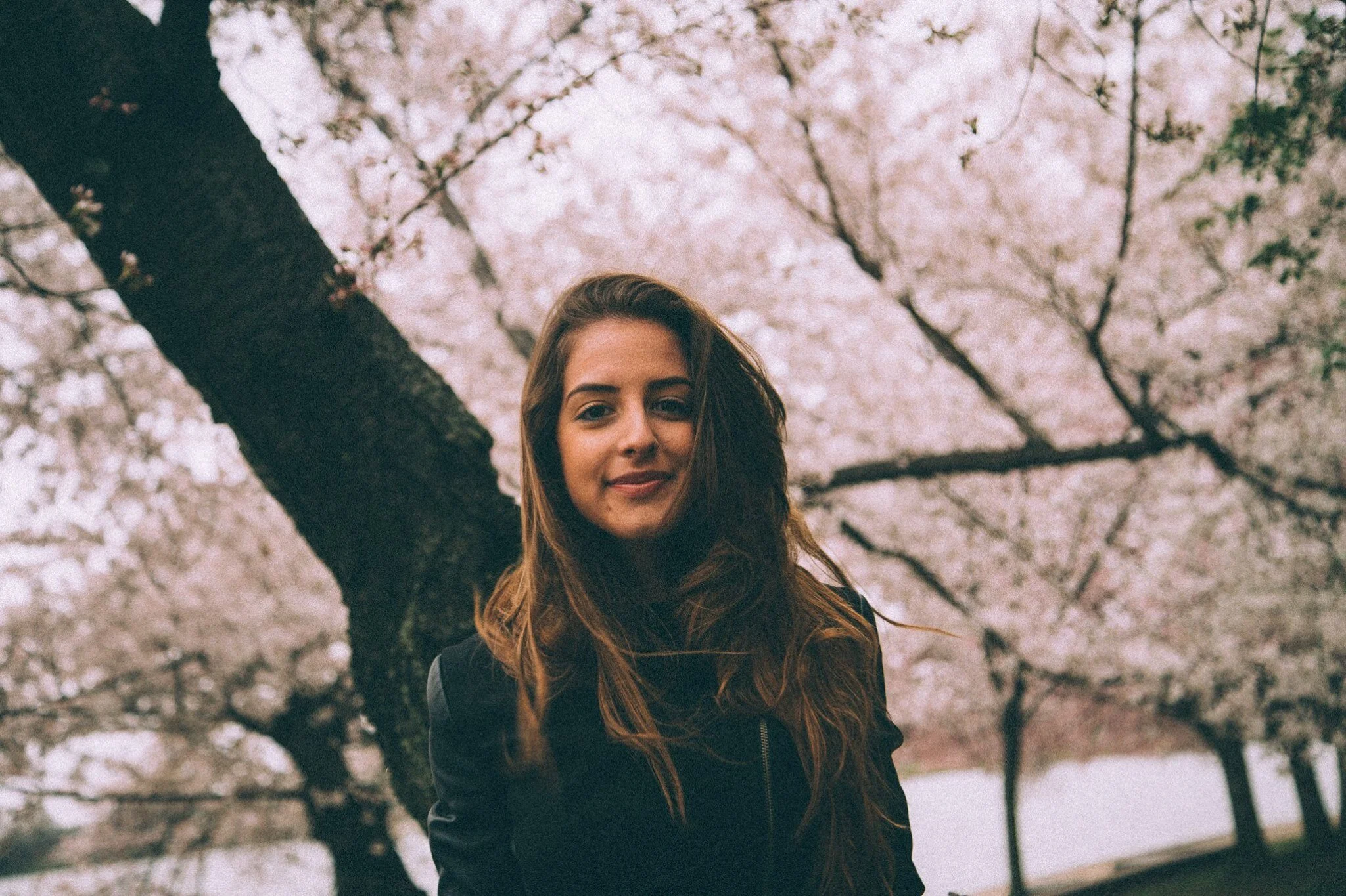 Lea S. I Artist, Los Angeles, CA