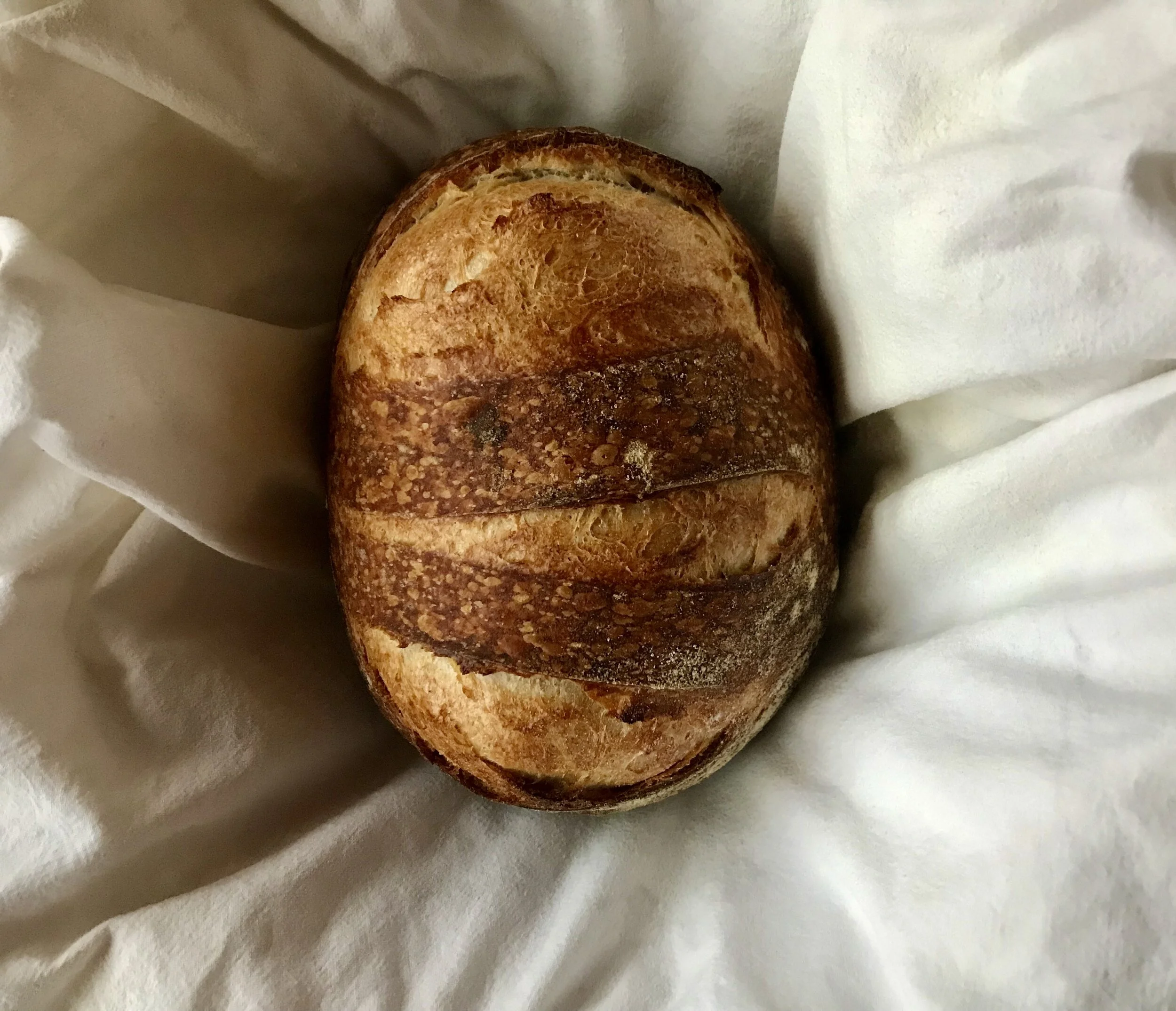 Baking Bread: The Joy of Developing a Craft