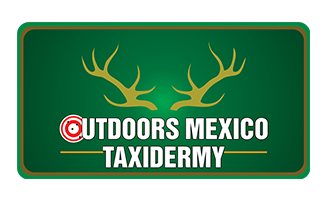 logo-outdoors mexico taxidermy.png