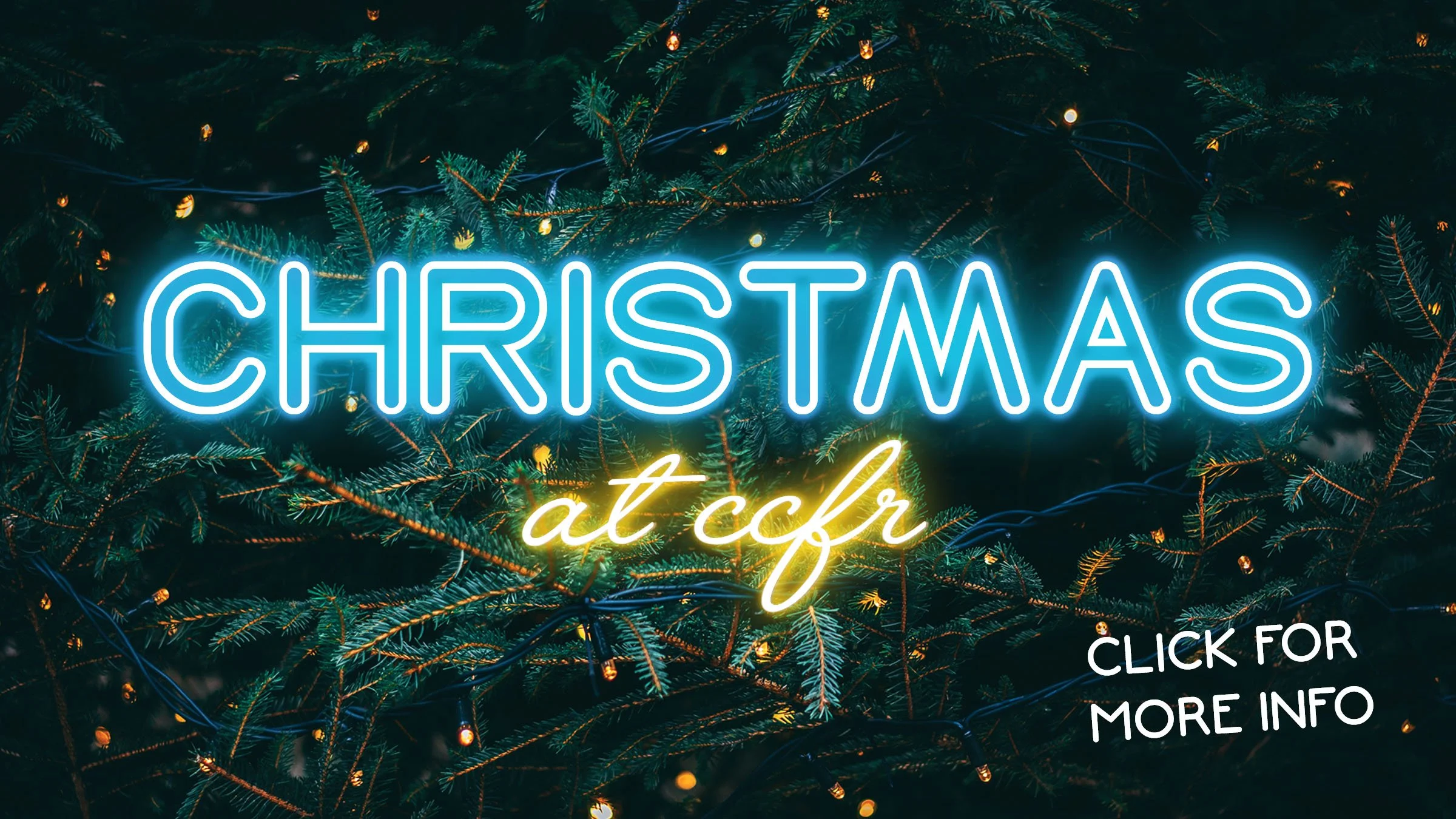Christmas Web.jpg