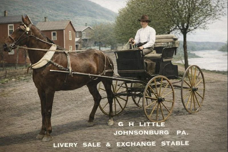 horse and buggy 2.jpg