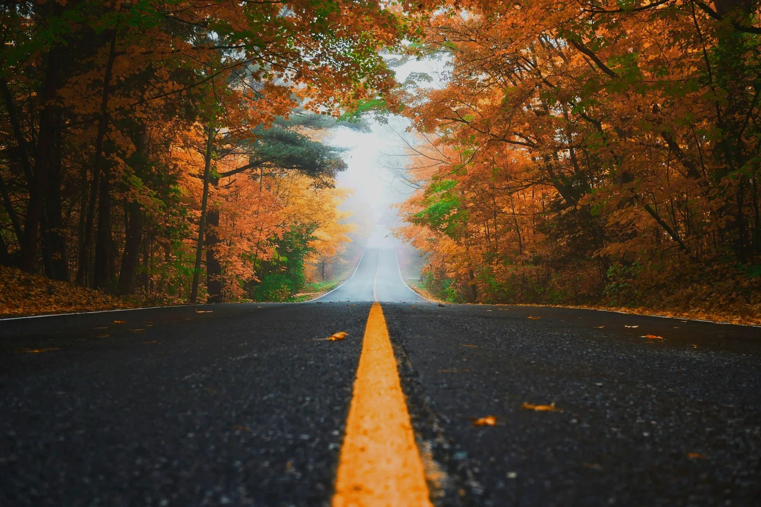 unsplash-image-5hvn-2WW6rY.jpg