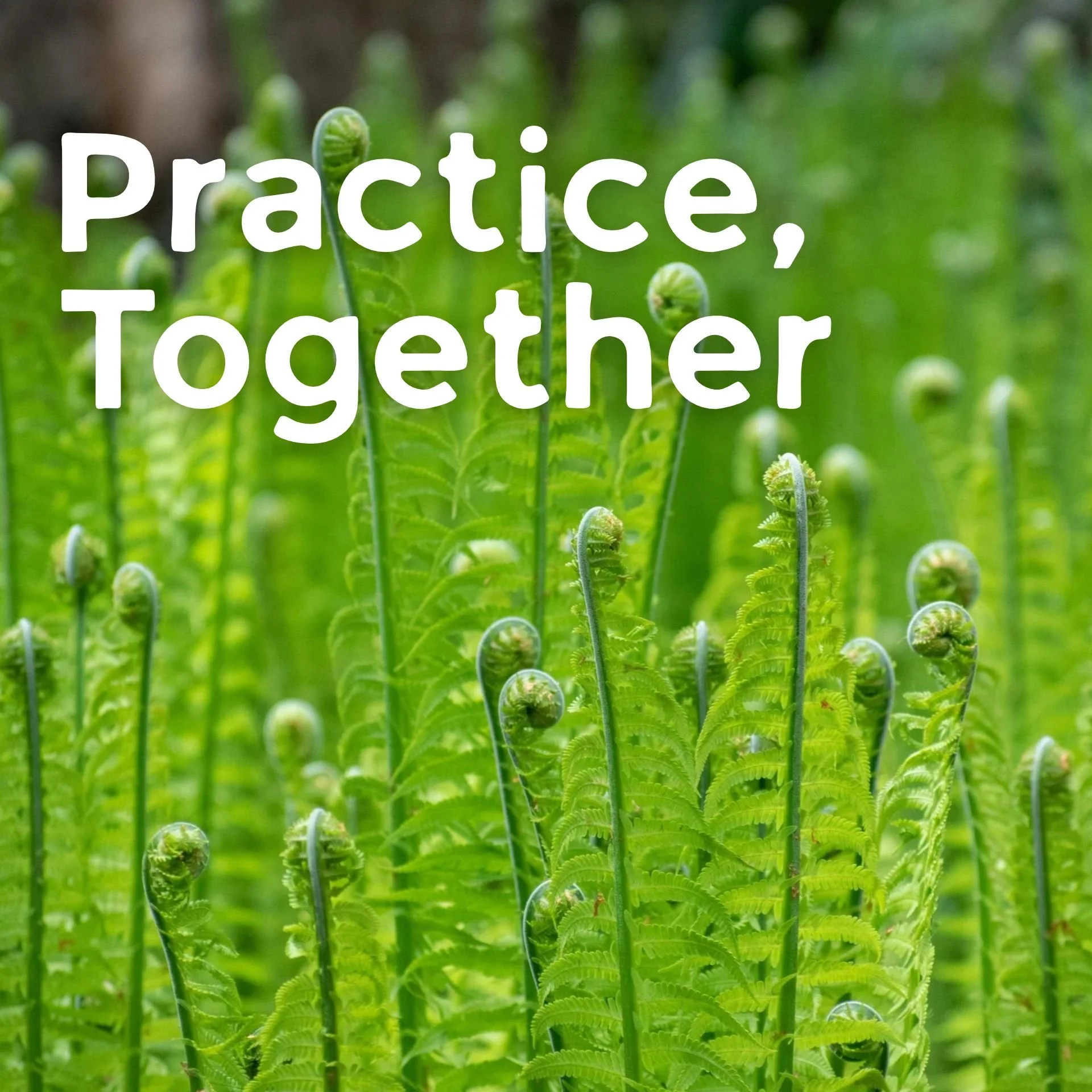 Practice, Together