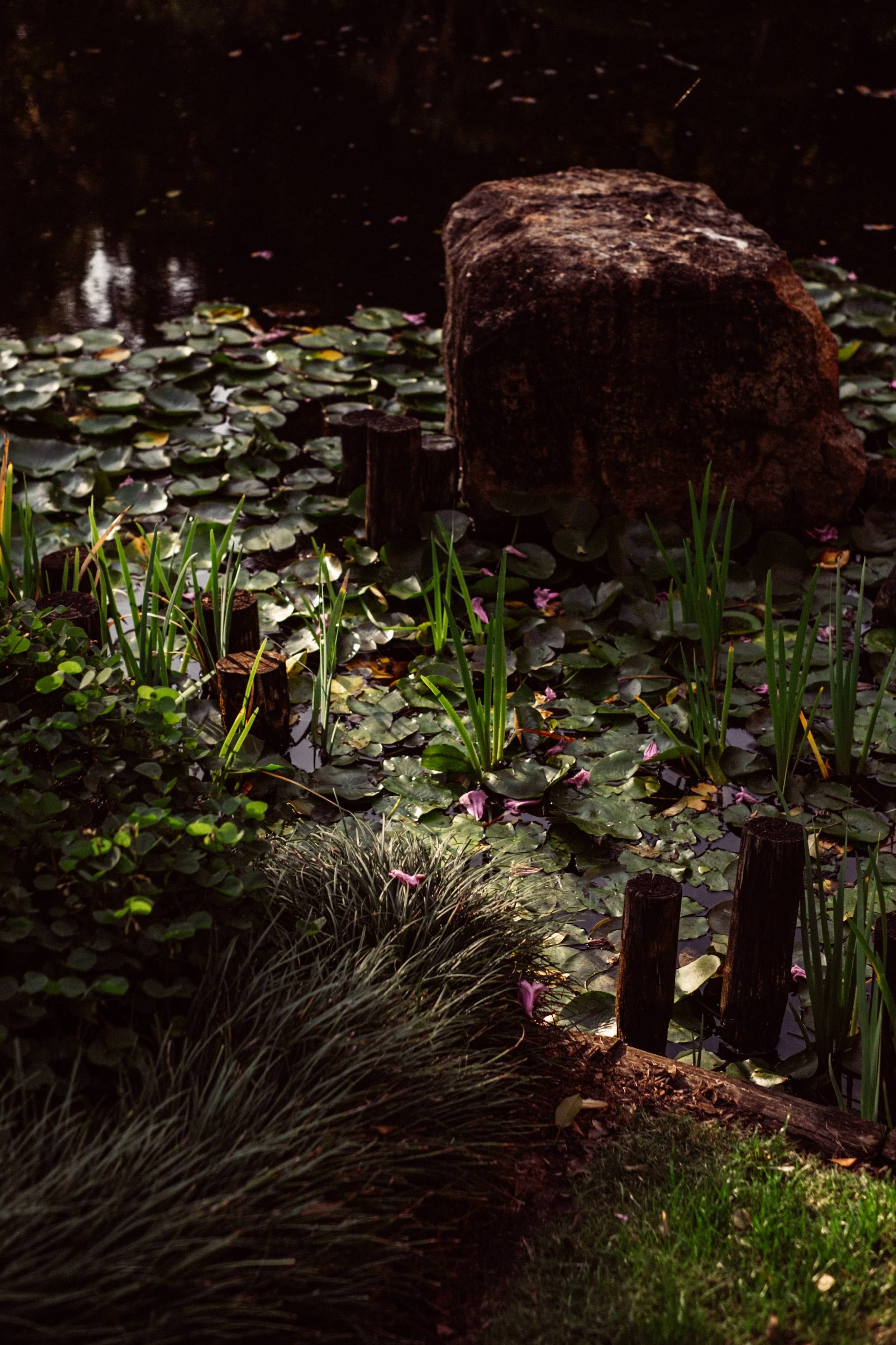 BotanicGardens_PhotographyPack_SalumiStudio-138.jpg