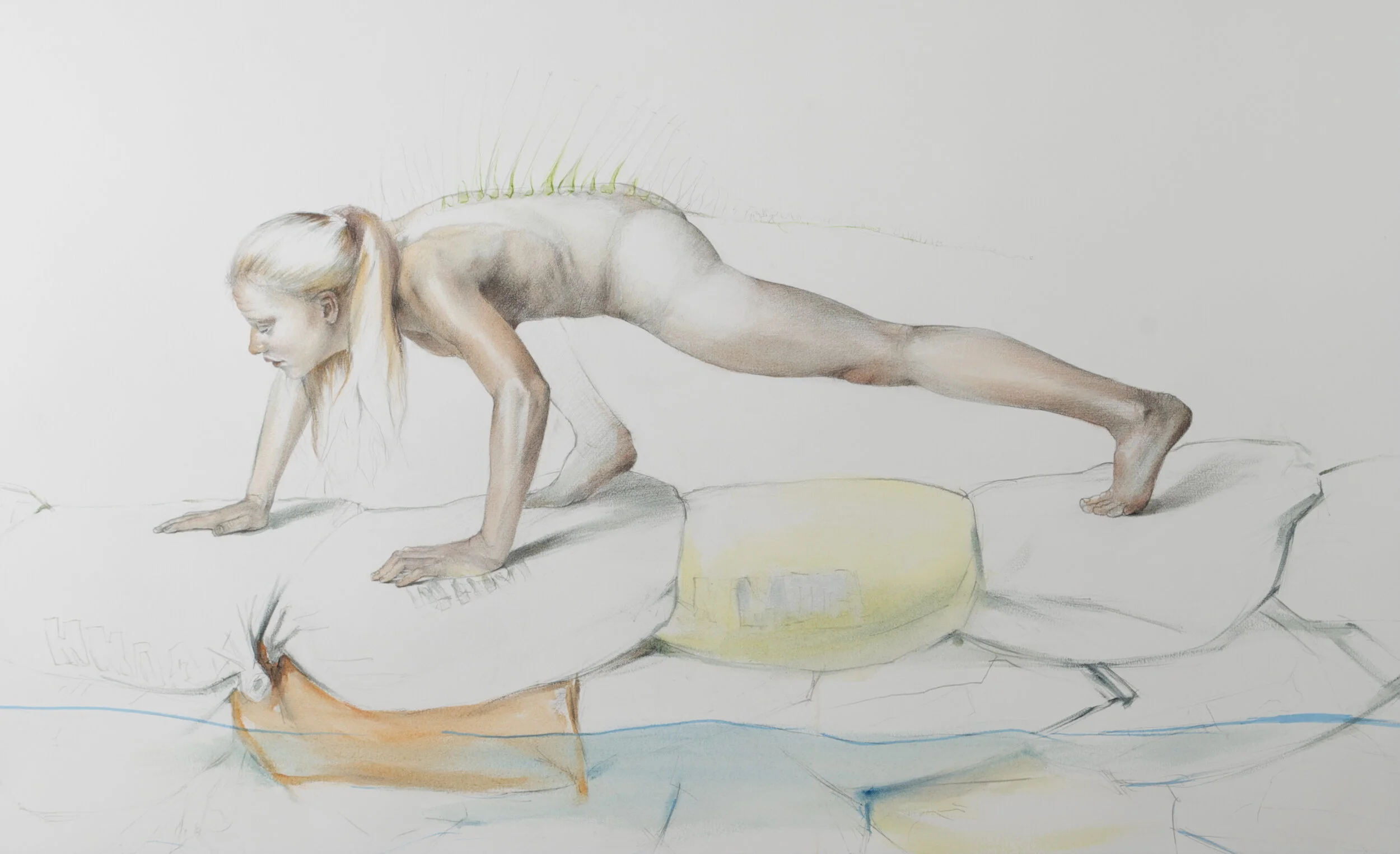   Adapting,  23 x 44”  Graphite and Oil on Paper 