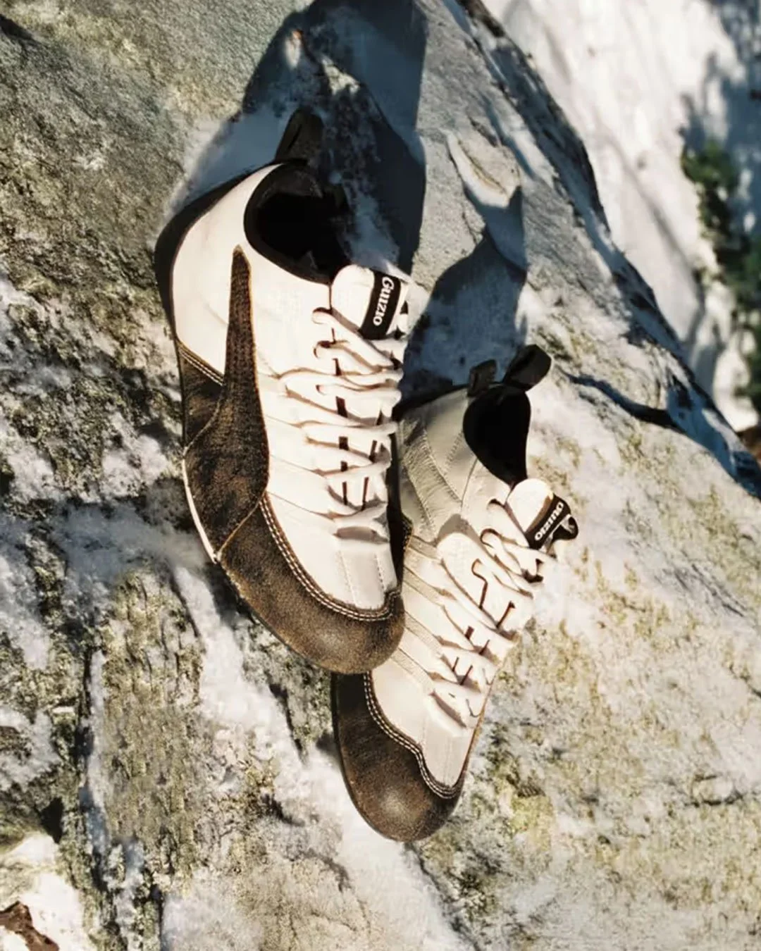 Puma_Klim_3.jpg (Copy)