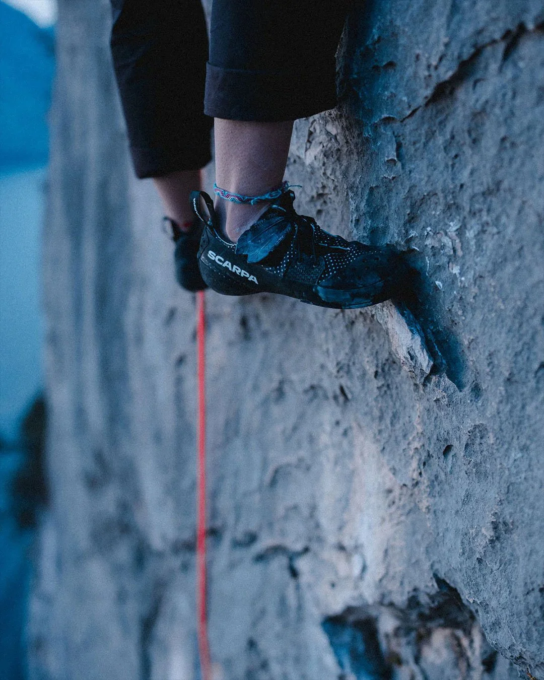 Scarpa_Blackbird_2.jpg (Copy)