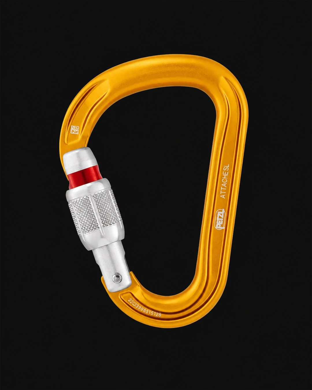 Carabiner.jpg (Copy)