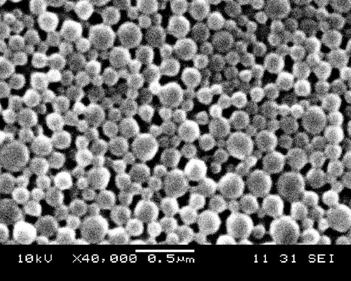 12934_2010_Article_418_Fig1_HTML.jpg