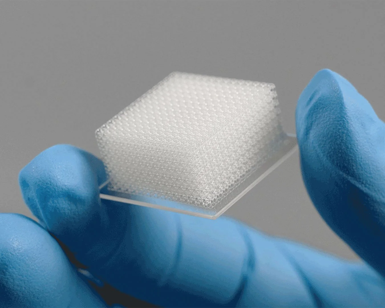 csm_Quantum-X-bio-high-resolution-3d-bioprinter-Meso-LF-Print-Set-Web_96313f1ba2.jpg