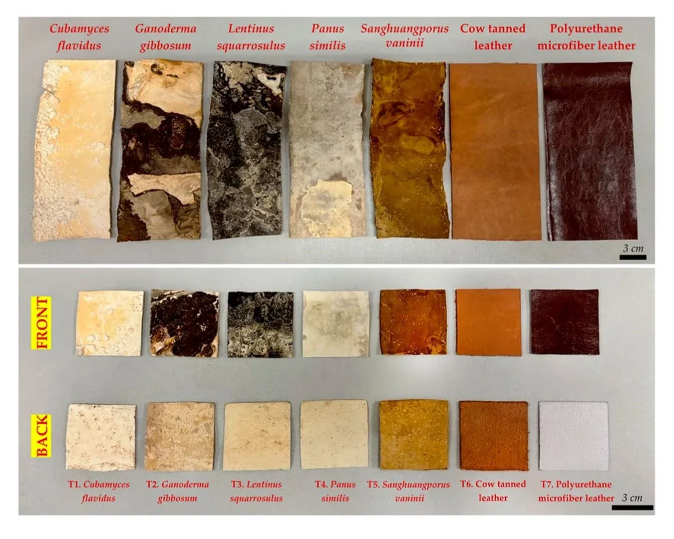 Comparative-specifications-of-mycelium-like-leather-sheets-versus-conventional-synthetic.jpg