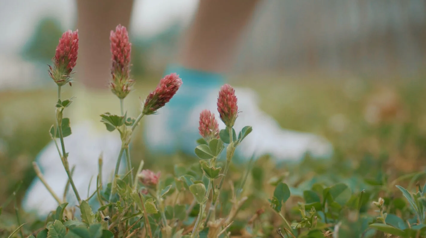 Flower Still.jpg