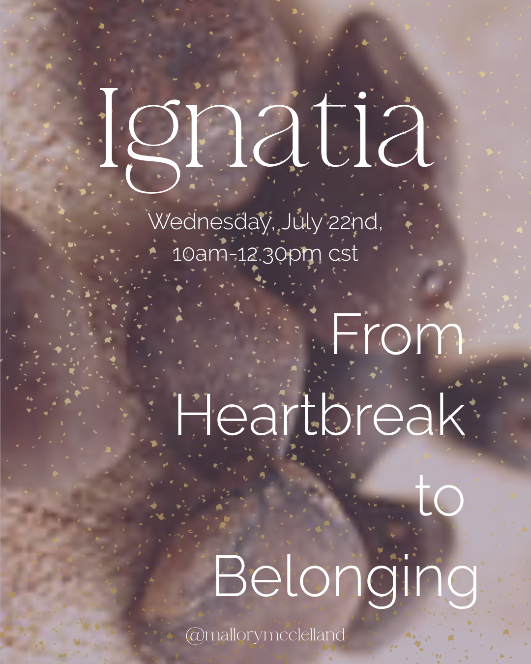 Ignatia Homeopathy X Constellations
