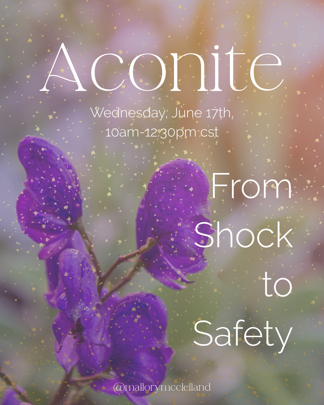 Aconite Homeopathy x Constellations