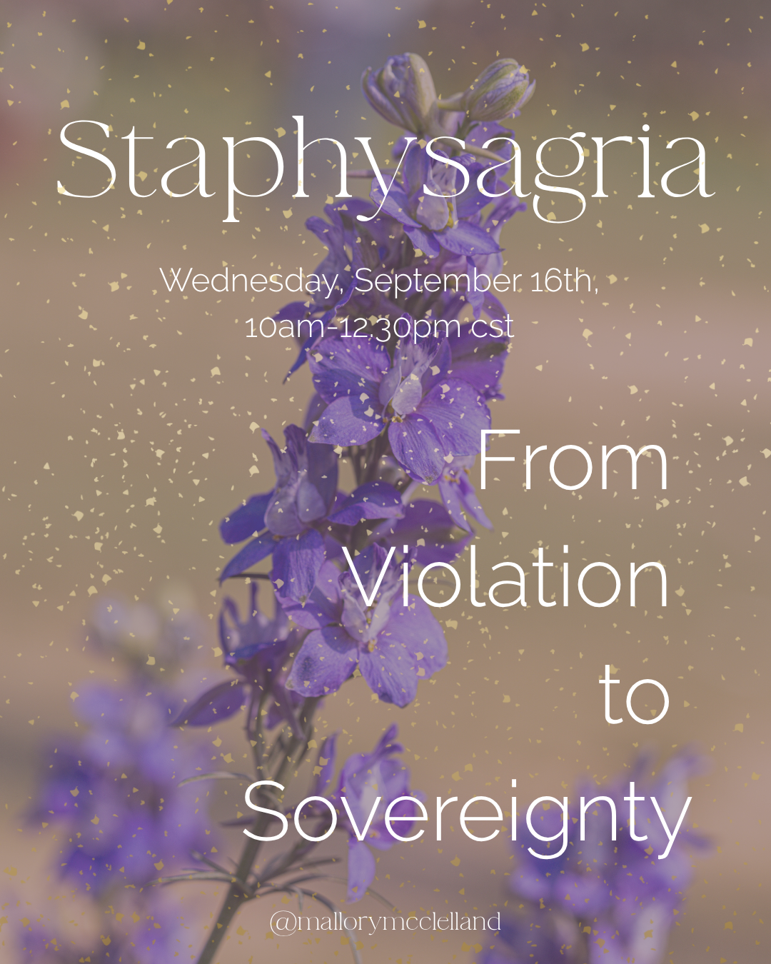 Staphysagria Homeopathy X Constellations (2).png
