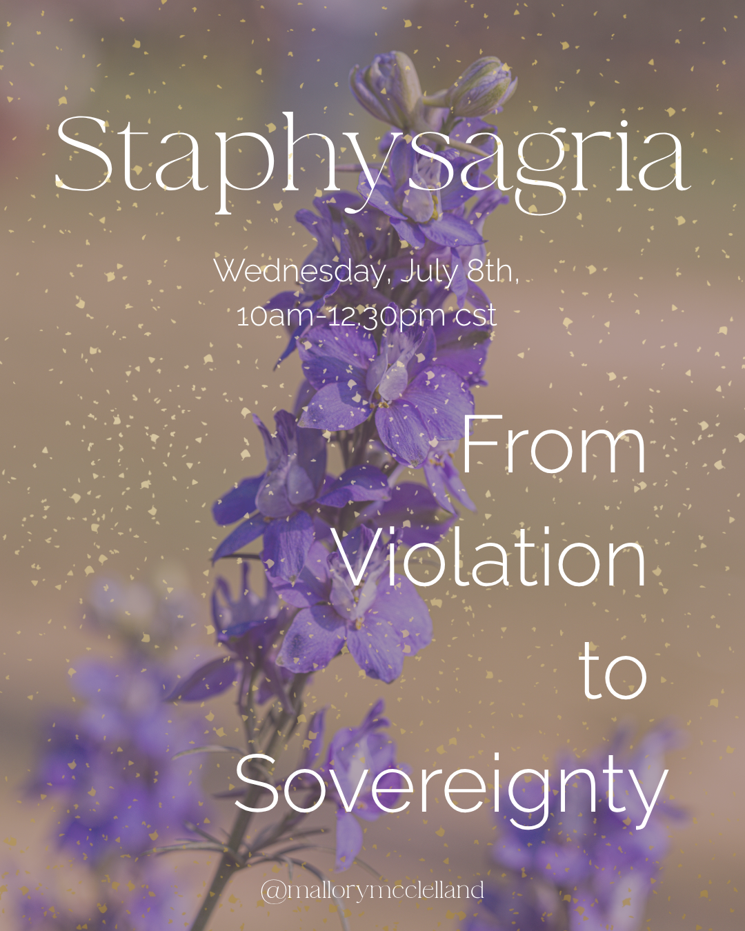 Staphysagria Homeopathy X Constellations .png